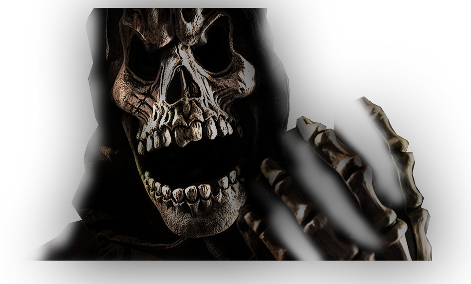 Skull (967x583), Png Download