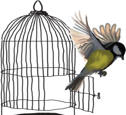 Moda Magazine Style Icon - Budgerigar (600x400), Png Download