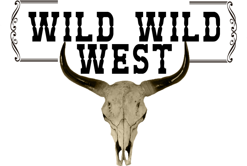 The Snow Much Fun Run And Snow Party Will Be On October - The Buzz Magazines (858x832), Png Download