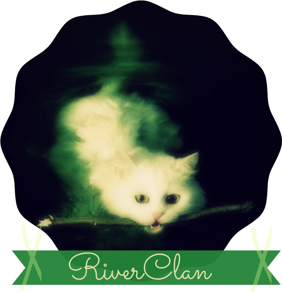 Riverclan Second Banner Fam - Tj Maxx Coupons 2016 (1000x1000), Png Download
