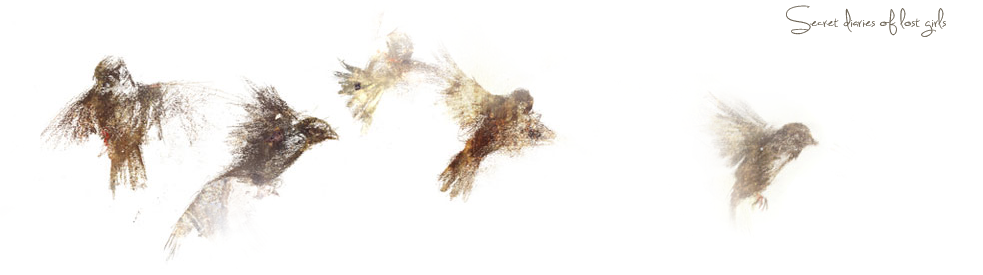 Secret Diaries Of Lost Girls - Macro Photography (983x275), Png Download