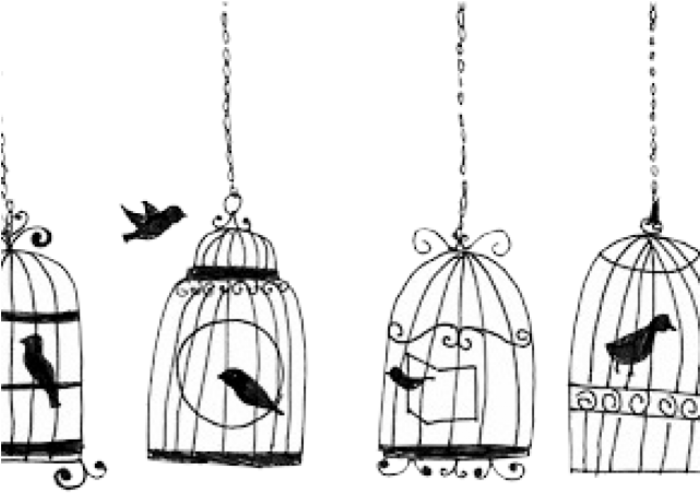 Usted Es Libre Para Hacer Sus Elecciones Pero Es Prisionero (640x480), Png Download