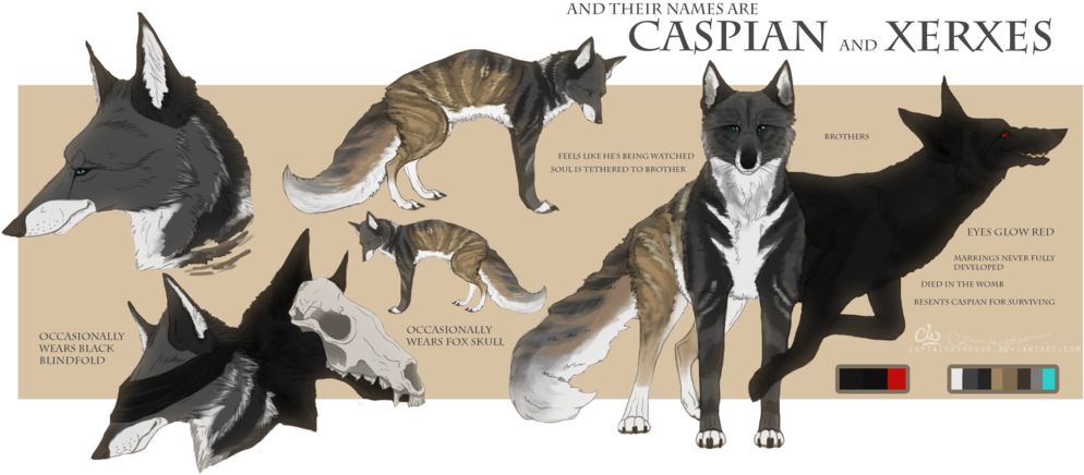 Caspian And Xerxes Ref - Josiah James Chasing The Wind (1024x477), Png Download