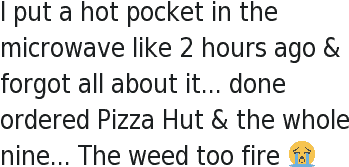 I Put A Hot Pocket In The Microwave Like 2 Hours Ago - Don T Want To Lose My Friends (400x300), Png Download
