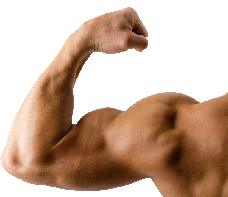 Hand Muscle Png Image Library Library - Make Our Body Strong And Healthy (766x662), Png Download