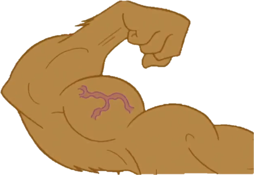 Sandy Transparent 4 - Cartoon Muscle Arm Transparent (1018x682), Png Download