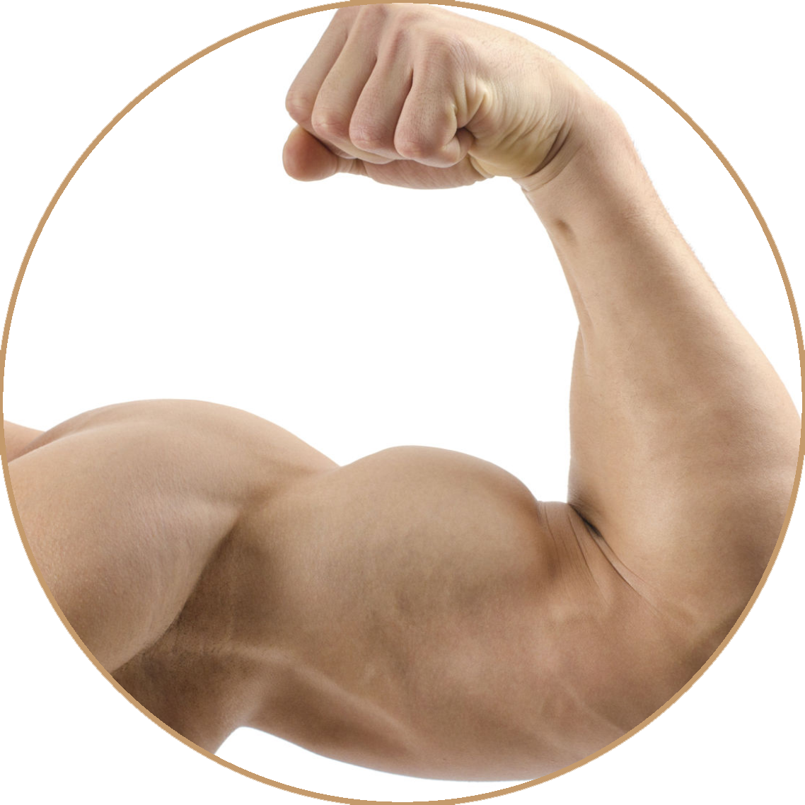 Emoji Muscle (1138x1138), Png Download