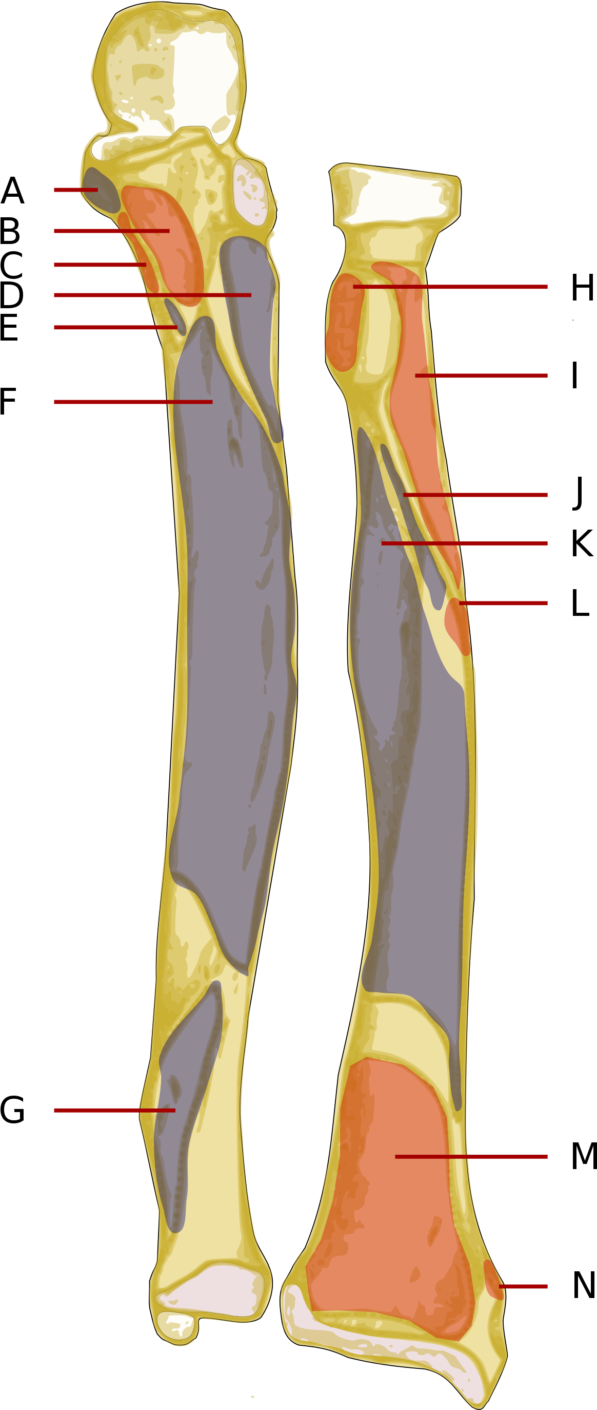 Open - Illustration (2000x2999), Png Download