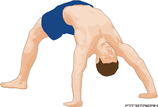 The - Bridge Exercise (570x400), Png Download