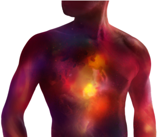Cardiac Regeneration - Science (480x270), Png Download