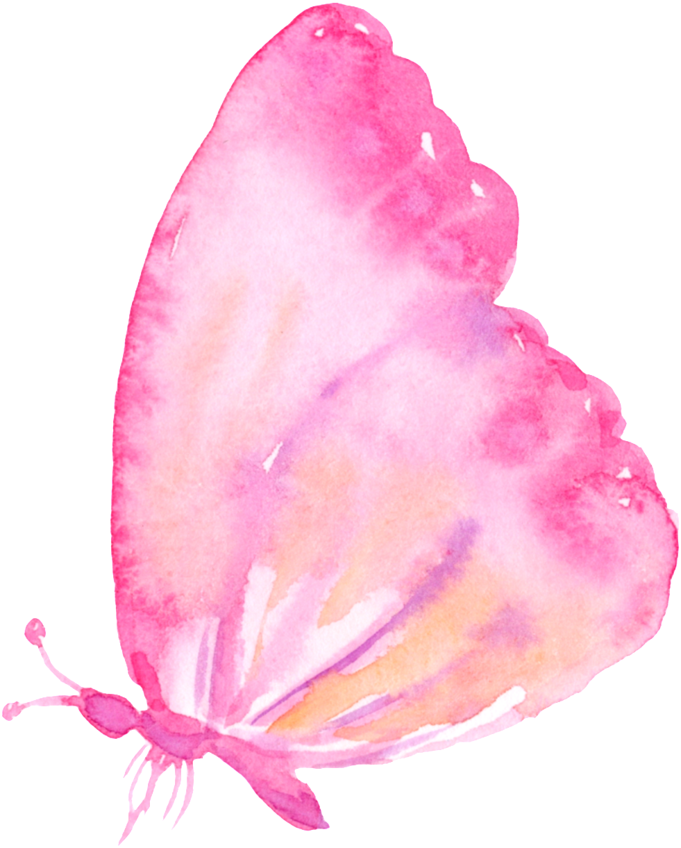 Pink Butterfly Cartoon Transparent - Rosa Borboleta Fundo Transparente (1024x1230), Png Download