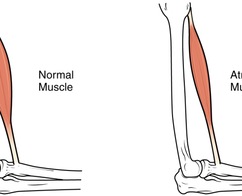 A More Detailed Look Inside - Illustration (495x400), Png Download