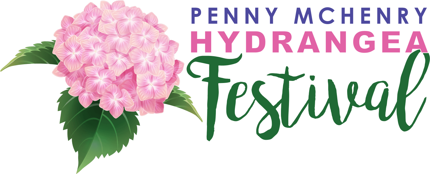 The Penny Mchenry Hydrangea Festival - Asian Paints Nilaya Lemon Appeal Zesty Green Leaves (1456x585), Png Download