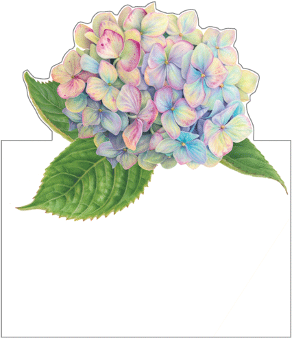Quick View - Place Card (426x500), Png Download