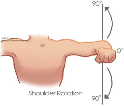 Shoulder Muscle 8 - Rotation Of The Muscle (432x371), Png Download