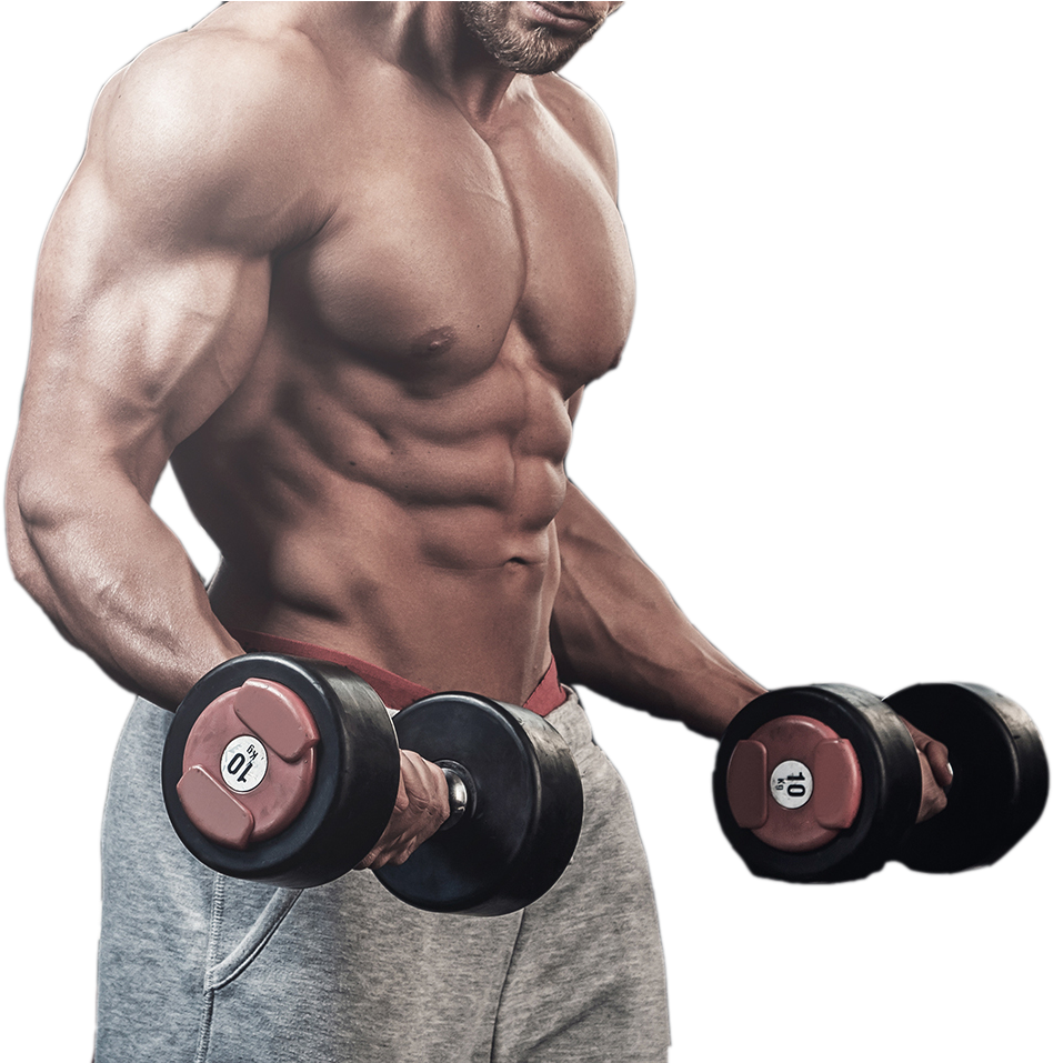Bodybuilding Fitness Centre Muscle (1434x956), Png Download