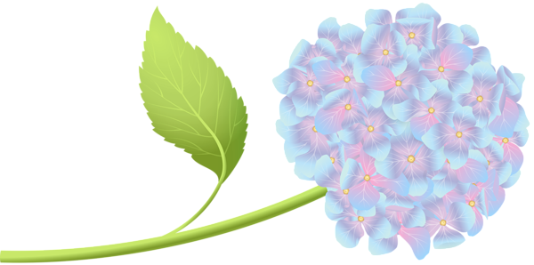 Vector Black And White Hortensia Clip Art Png Image - Portable Network Graphics (600x298), Png Download