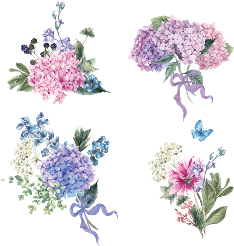 Svg Royalty Free Download Flower Euclidean Stock Hand - Hydrangea Vector (500x500), Png Download
