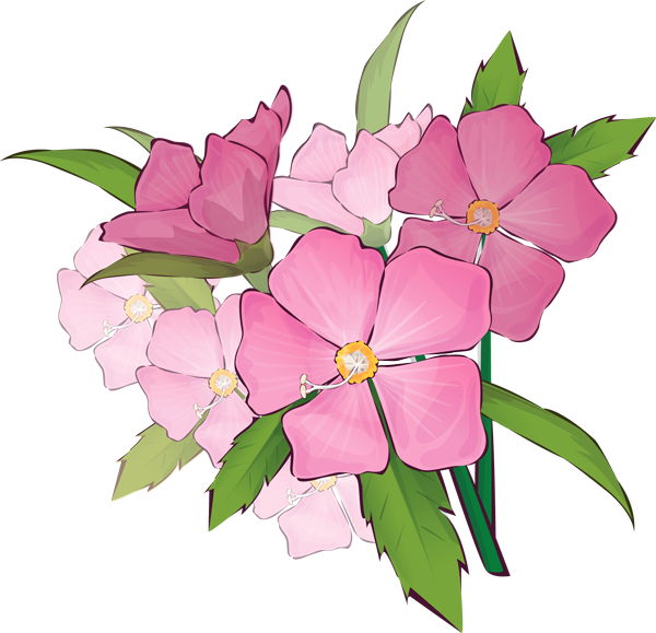 An Overview - Pink Flower Bouquet Clip Art (600x579), Png Download
