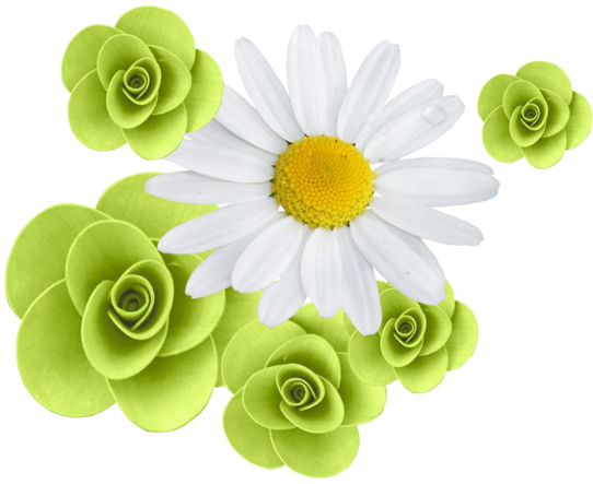 Pretty Backgrounds, Flower Clipart, Art Carte, Margaritas, - Clip Art (600x551), Png Download