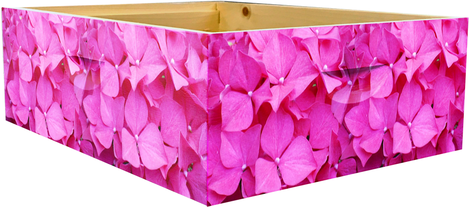 Hydrangea Theme- Medium Super Wrap - Hydrangea (1000x750), Png Download