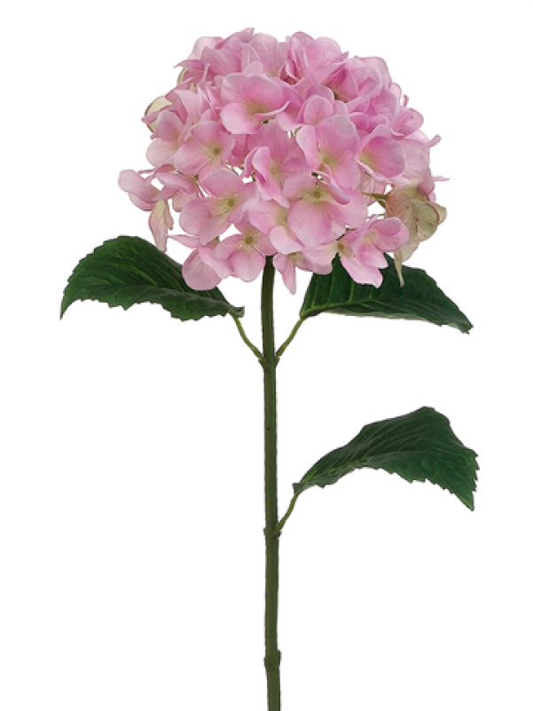 31" Hydrangea Spray Pink Green - Silk Plants Direct Hydrangea Spray - Blue Purple - (800x800), Png Download