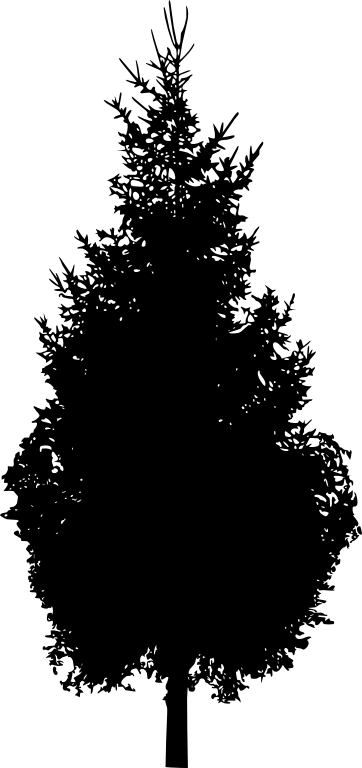 Tree Transparent Vol - Pine Tree Silhouette Png (362x768), Png Download