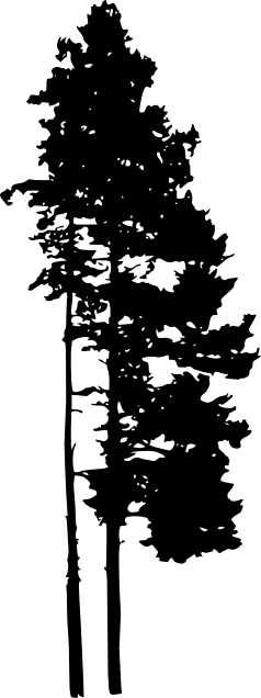 30 Pine Tree Silhouette Png Transparent Vol 2 Onlygfxcom - Portable Network Graphics (238x636), Png Download