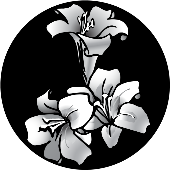 Easter Lily - Apollo Easter Lily Glass Gobo Sr-2505 (800x800), Png Download