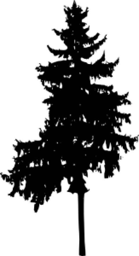 Free Png Pine Tree Silhouette Png Images Transparent - Portable Network Graphics (480x884), Png Download