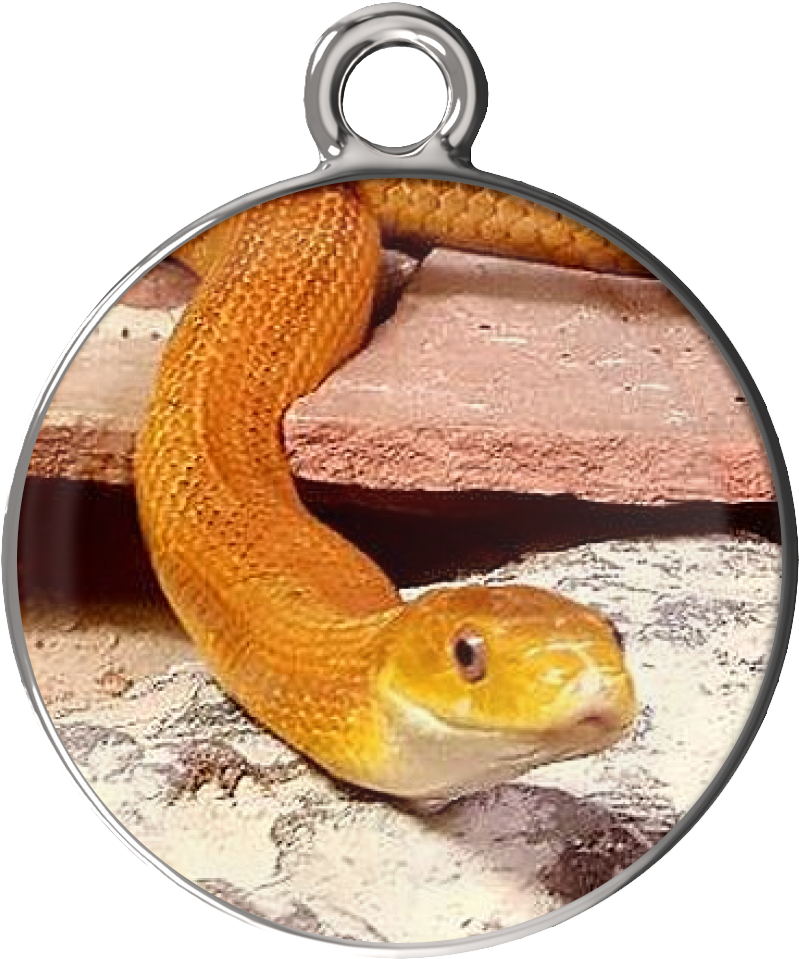 Eye Of The Beholder Charm Bracelet - Serpent (1024x1024), Png Download