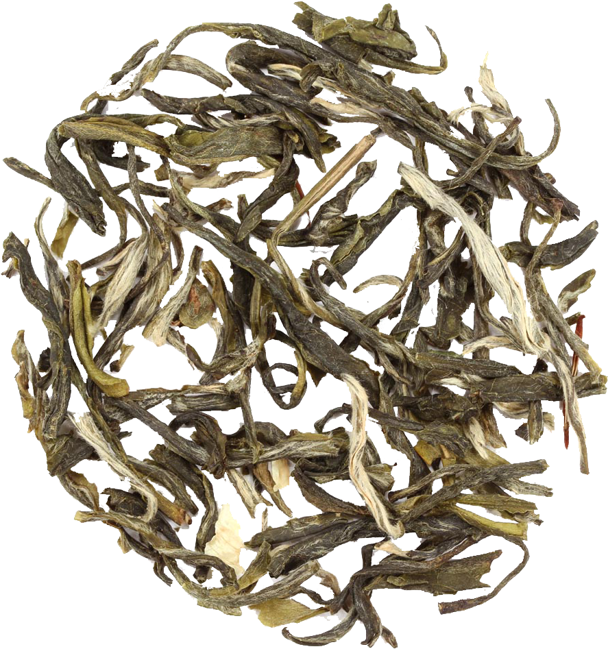 Easter Lily White - Adagio Teas Jasmine Yin Hao Loose Green Tea 16 Oz (1000x1019), Png Download