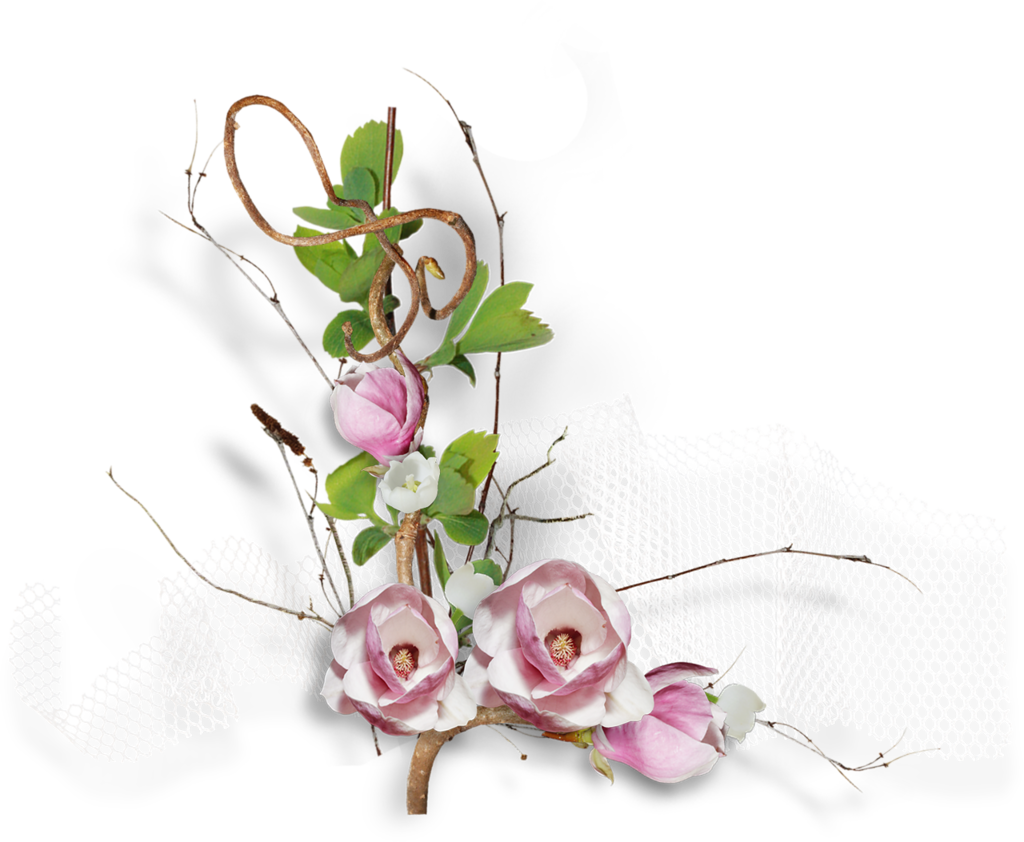 Free Easter Lily Photo Download Free Clip Art Free - Tubes Fleurs Rose Png (1024x842), Png Download