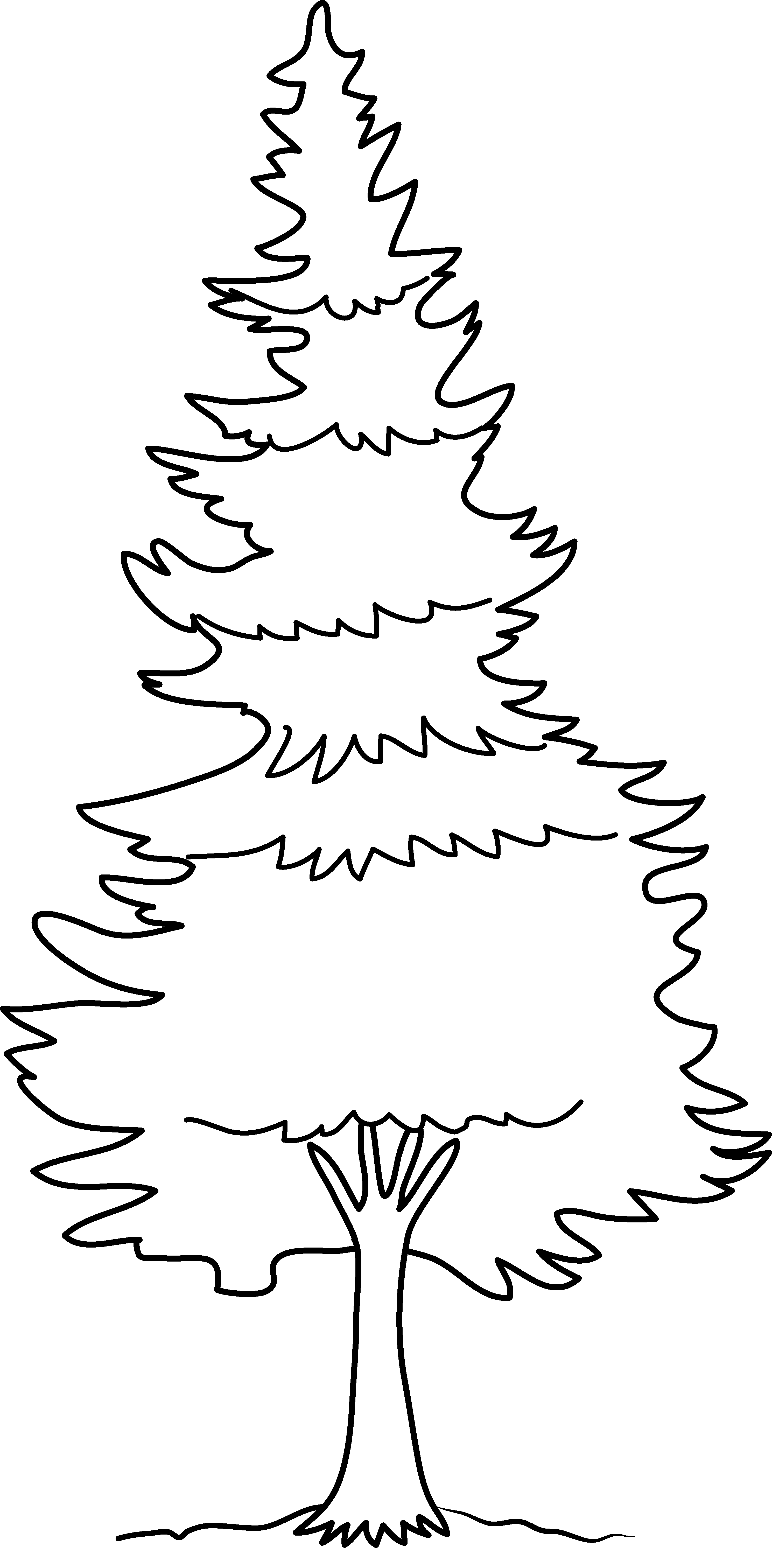 Pin Pine Tree Silhouette Clip Art - Pine Tree Clip Art Outline (271x550), Png Download