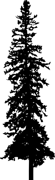 Pine Tree Silhouette Png Download - Portable Network Graphics (234x758), Png Download