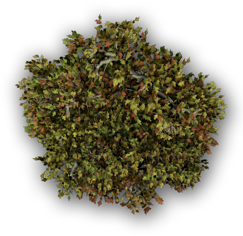 Maple-b - Za Atar Kruiden (792x771), Png Download