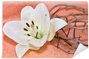 Crown Of Thorns (400x400), Png Download