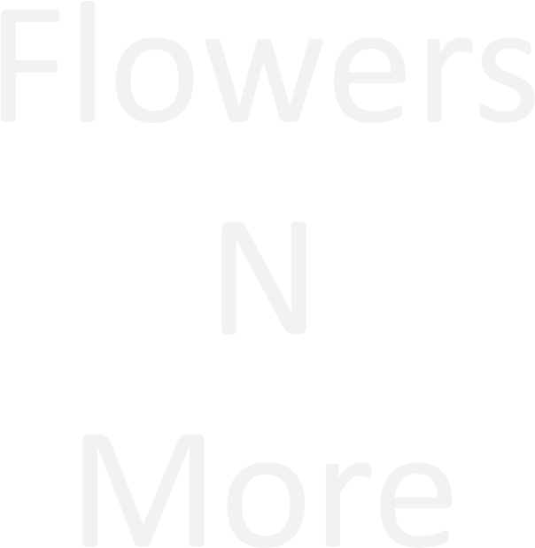 Download Flowers N More PNG Image with No Background