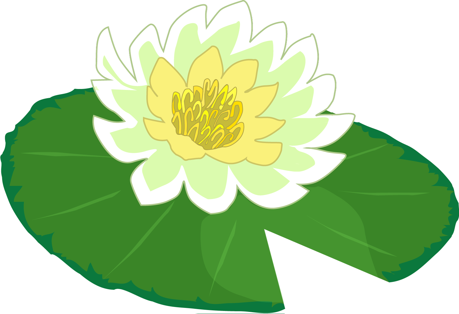 White Flower Water Lily Clipart The Cliparts Png - Lily Pad Png (1501x1027), Png Download