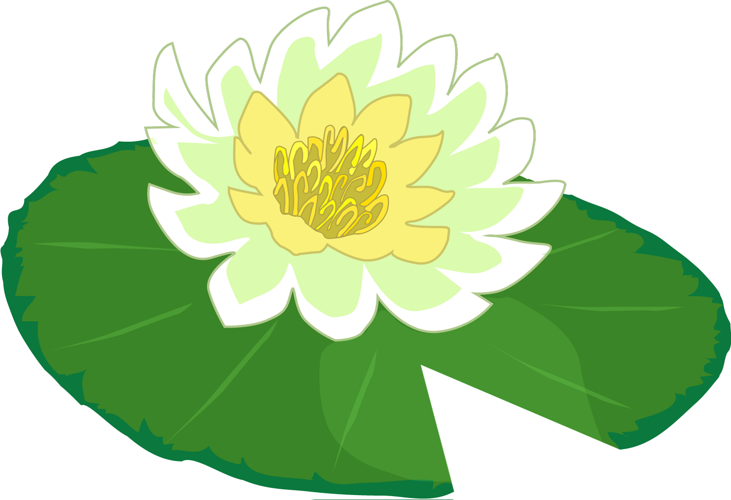 Download White Flower Water Lily Clipart The Cliparts Png Lily Pad Png Png Image With No Background Pngkey Com