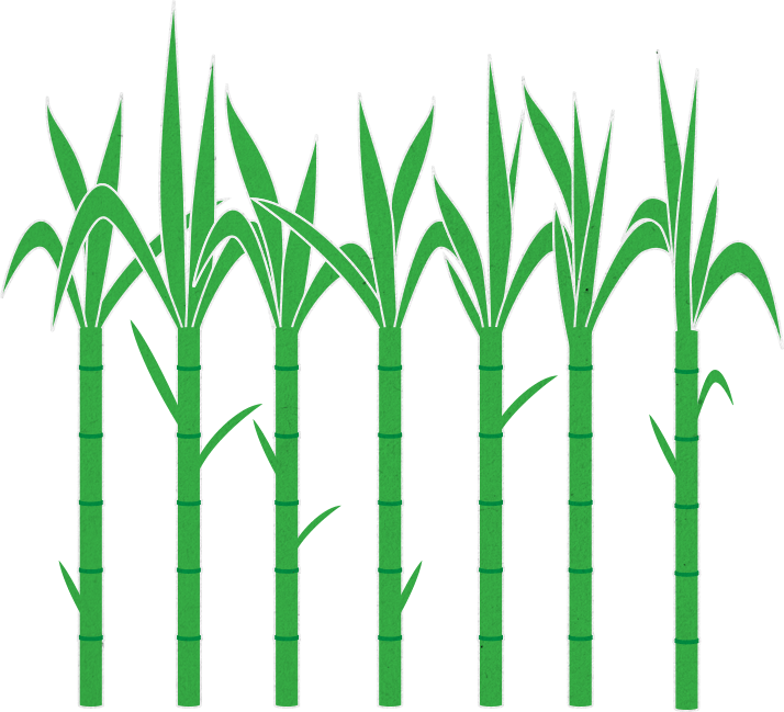 Banner Black And White Library Home Coated Documentary - Sugarcane (714x649), Png Download