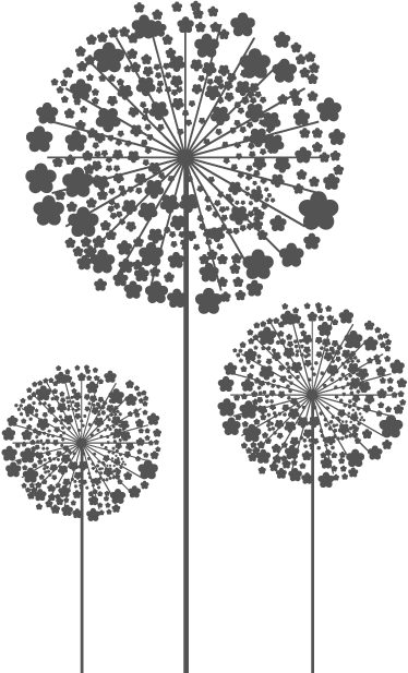 Freetoedit 3 Dandelions Png Dandelions Transparentbackg - Dandelion Watch, Dandelion, Dandelion Accessory, Ladies (374x617), Png Download