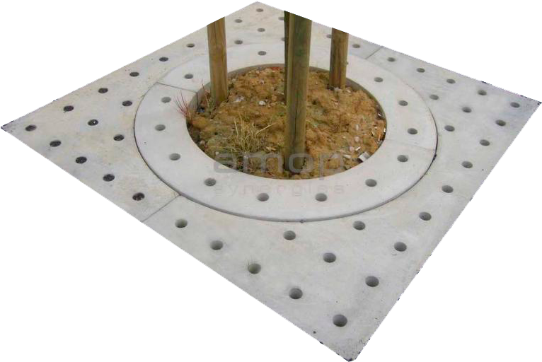 Tree Surrounds - Urbano Caldeira (800x600), Png Download