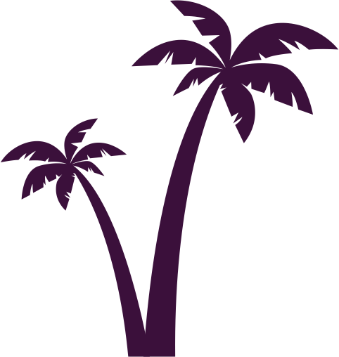 From Para - Arvore De Açai Png (482x508), Png Download