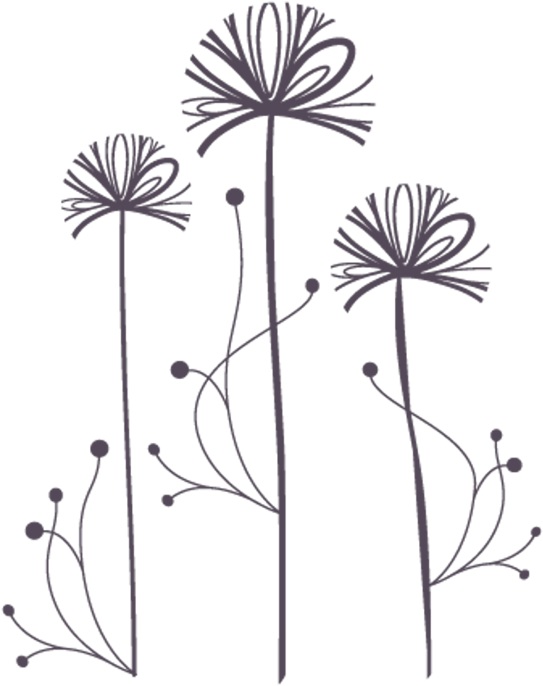 Freetoedit Dandelions Dandelionseeds Png Transparentbac - Metal Monkey Stickers Flower Heads Glass Etch Or Stained (1024x1024), Png Download