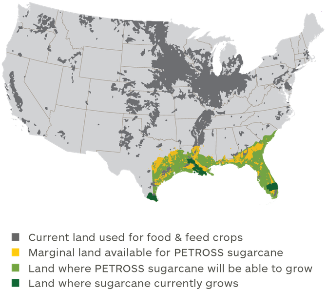 If We Devoted 23 Million Acres In The Southeastern - Sugarcane Growth In Us (754x625), Png Download