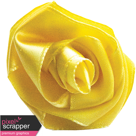 Yellow Ribbon Rose - Garden Roses (456x456), Png Download
