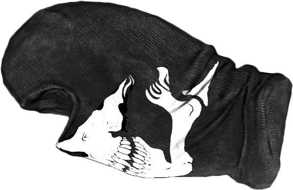 Skull (602x401), Png Download