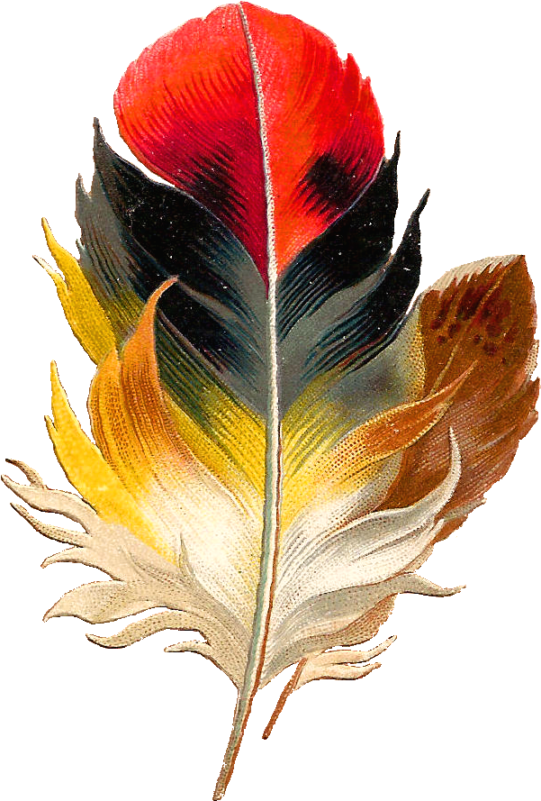 Antique Images Clip Art Beautiful Multi Colored - Colorful Bird Feathers Png (925x1155), Png Download