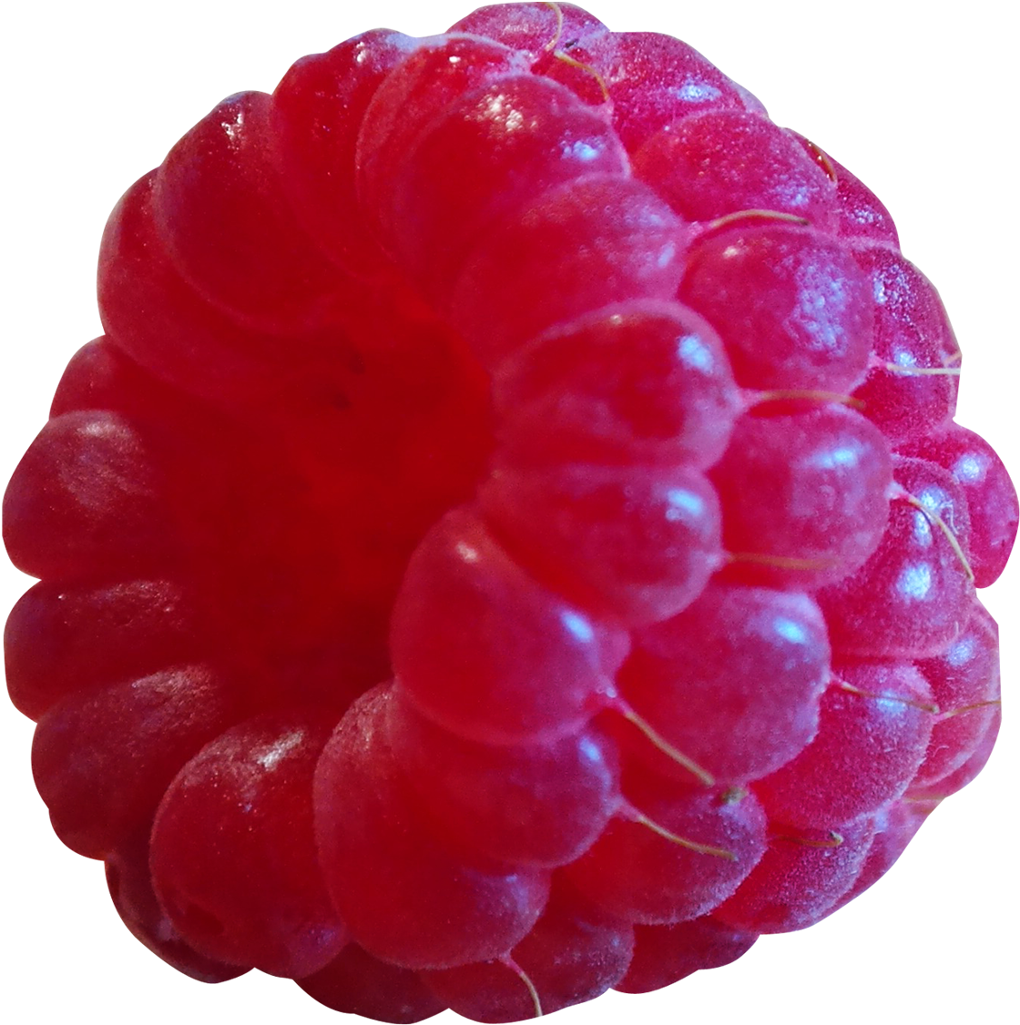 Raspberry Png Transparent Image - Raspberry Transparent (1256x1253), Png Download
